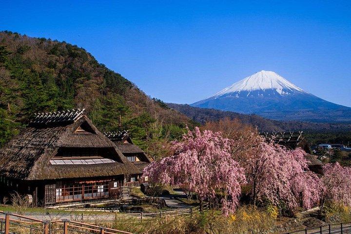 ムスリムフレンドリー富士山ツアー（ハラルランチと祈りタイム付き）