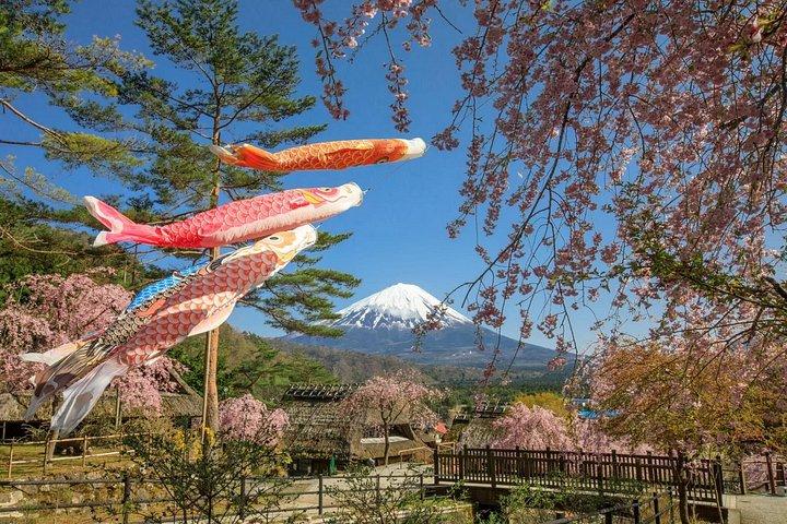 ムスリムフレンドリー富士山ツアー（ハラルランチと祈りタイム付き）