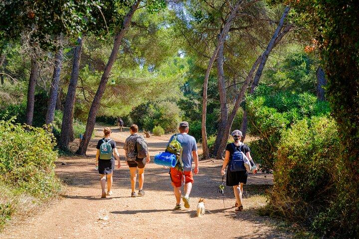 Traghetto da Cannes all'Isola di Santa Margherita