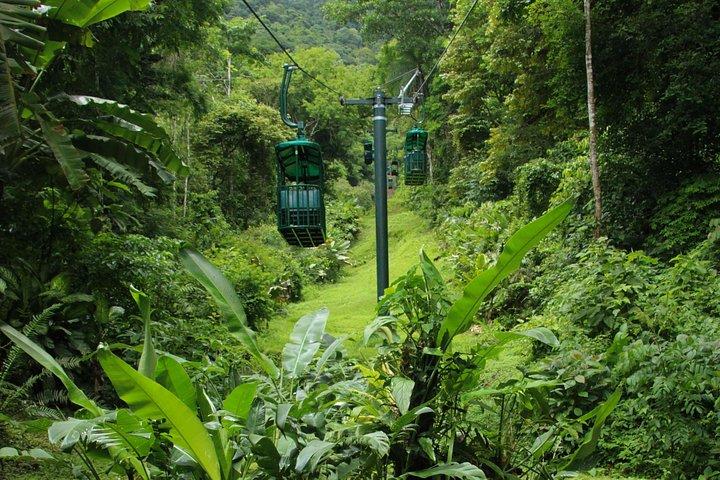 コスタリカ・ジャコ熱帯雨林空中トラムツアー
