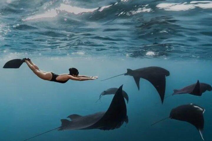 Excursión de un día a Nusa Penida con paquete de buceo