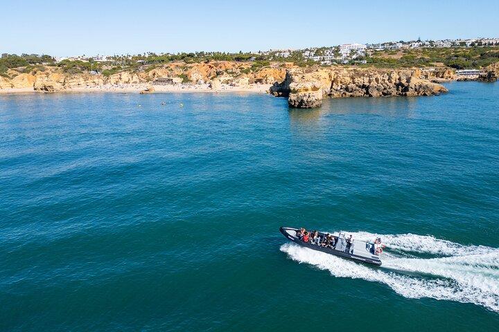 Dolphins & Caves on Rib Boat