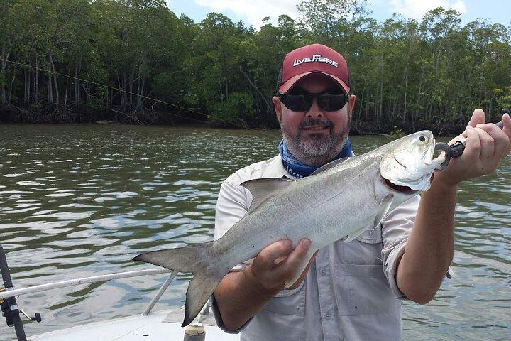 Cairns Estuário Pesca