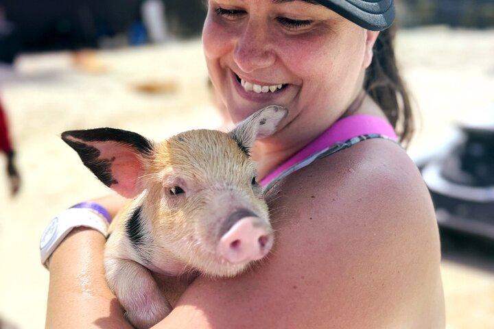 ナッソースイミングピッグス：シュノーケリング、ランチ＆プライベートビーチクラブ
