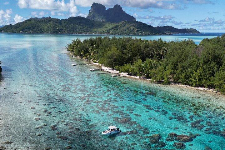 Reef Discovery Halbtägige Gruppen-Signatur-Tour