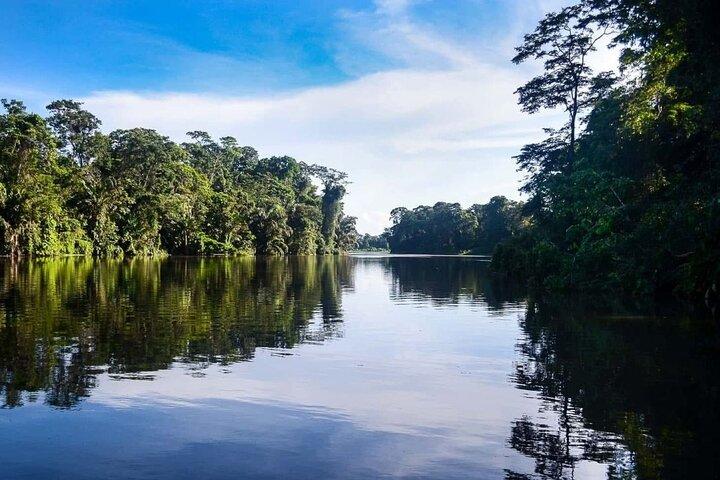 Kanotur i Tortuguero Økologisk udforskning af kanalerne