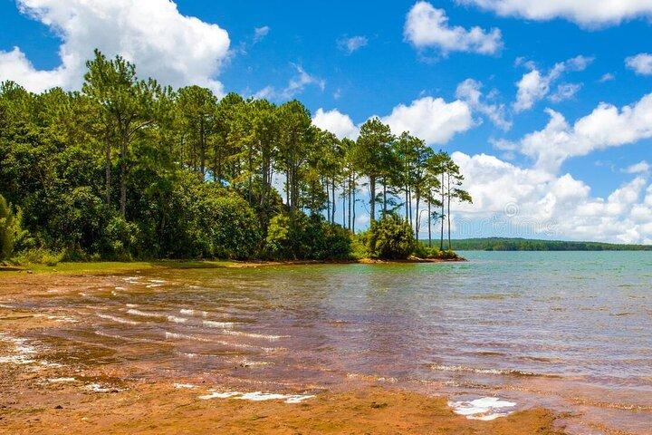 Terra e mare: incontro con i delfini e sud-ovest privato di Maurizio