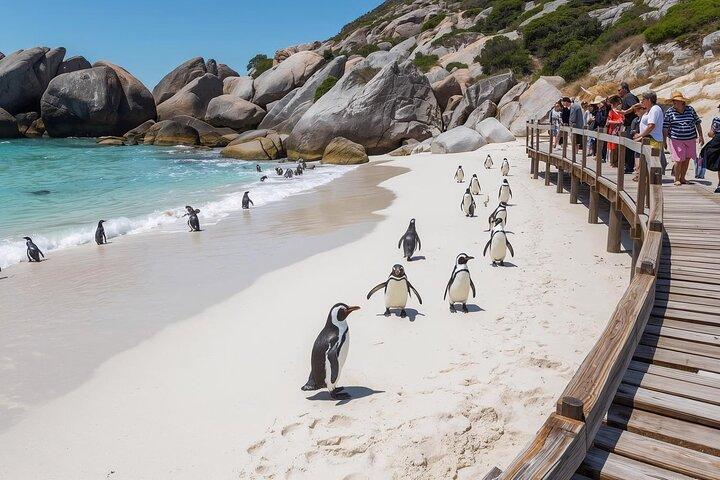 Excursion d'une demi-journée à Boulders Beach Penguin et Cape