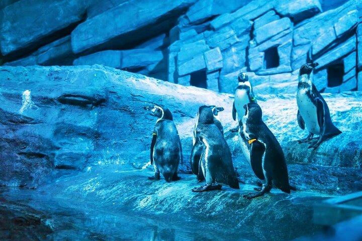 Aquaria Phuket Tickets
