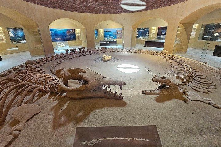 カイロ発プライベート・ファヨム日帰り旅行（滝巡り＆ランチ付き）