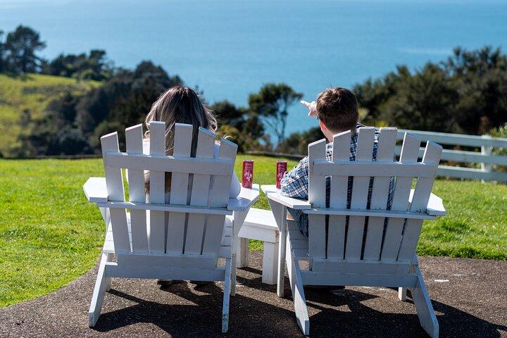 Tour del vino, del gin e del cibo di Waiheke Island