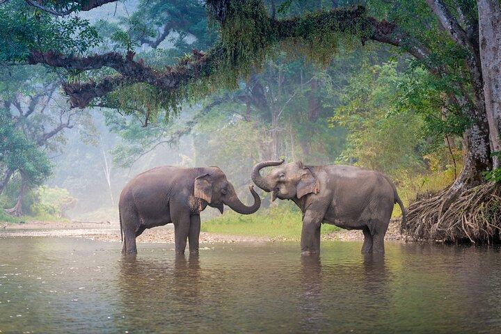 Yala Nationalpark Private Ausflüge mit Eintrittskarten