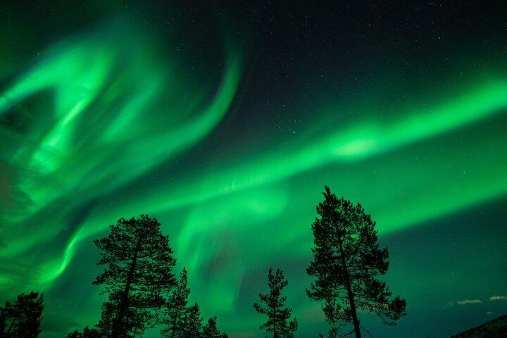 Northern Lights Minibus Chase de Tromso com Chasing Lights