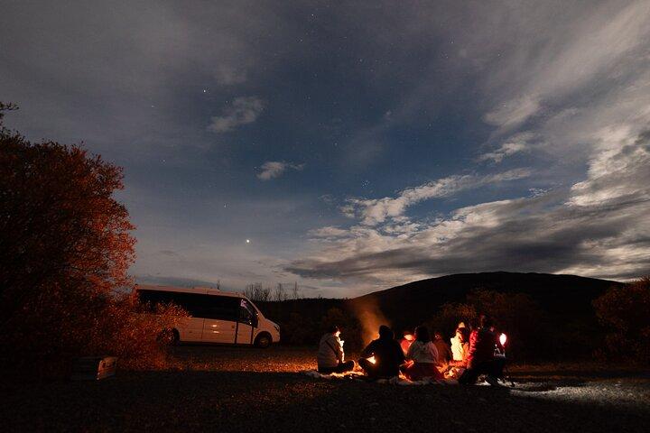 Northern Lights Minibus Chase de Tromso com Chasing Lights