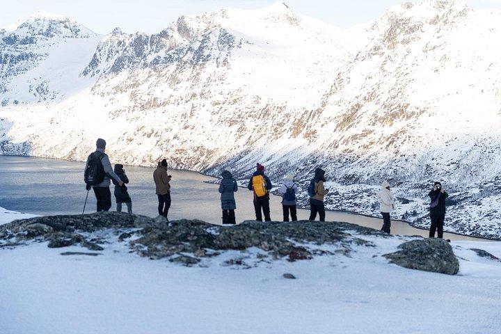 Small Group Snowshoe Hike in Tromso