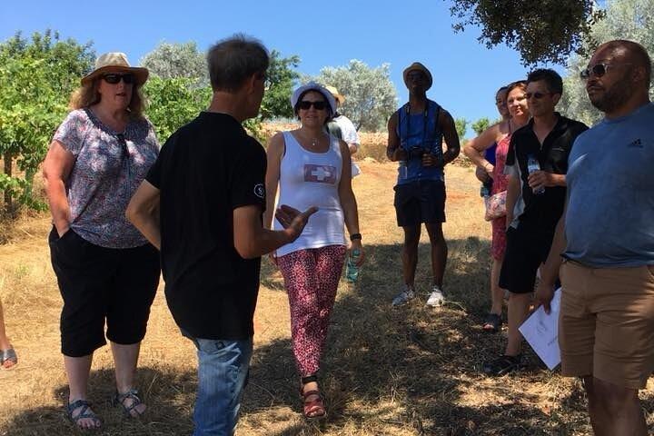 Vinprovningstur i Algarve Winery