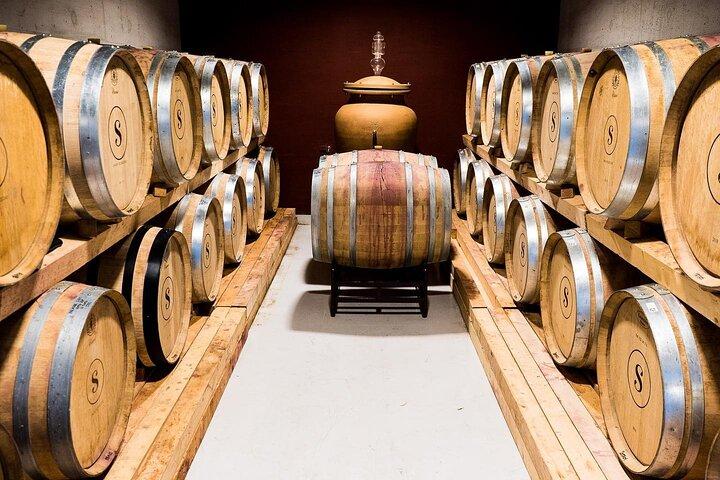 Weinprobe im Weingut Algarve