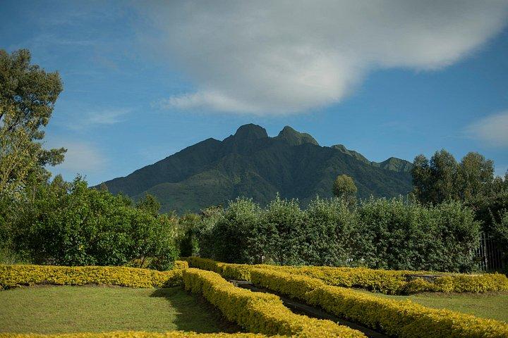 ビソケまたはサビニョ火山日帰りハイキング：雲の中へ
