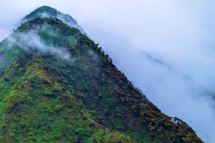 ビソケまたはサビニョ火山日帰りハイキング：雲の中へ