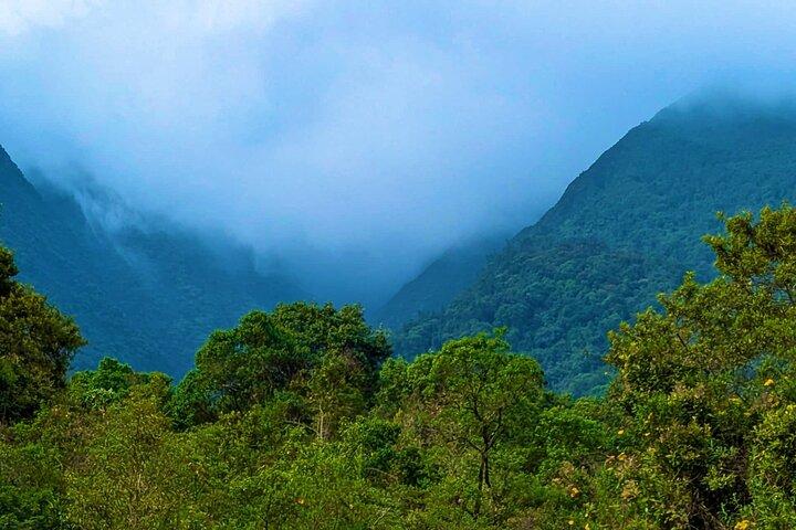ビソケまたはサビニョ火山日帰りハイキング：雲の中へ