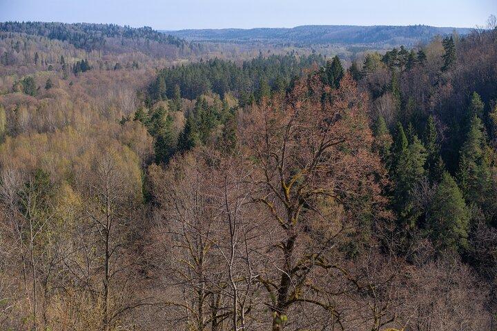 From Riga: Gauja National Park hike with Photographer in Sigulda