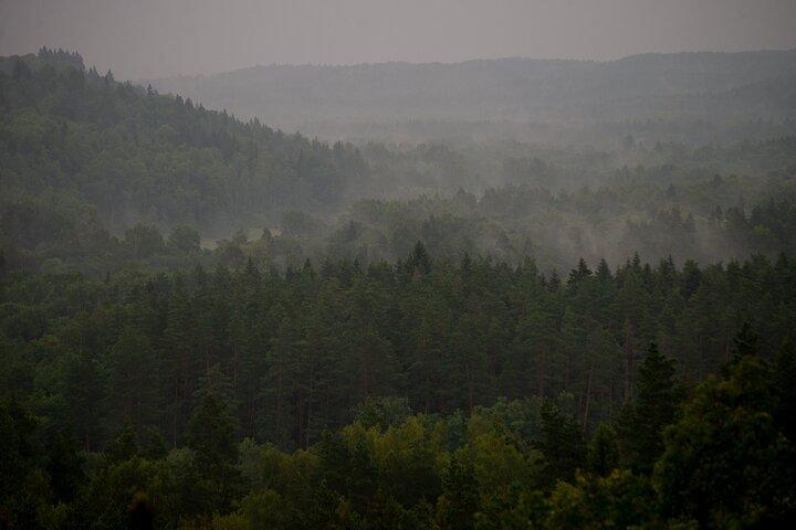 From Riga: Gauja National Park hike with Photographer in Sigulda