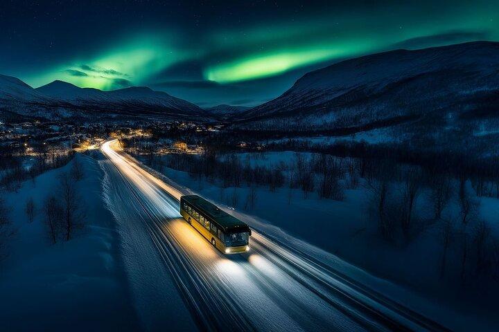 Tromsø : エキスパートガイドと写真で行くオーロラサファリ