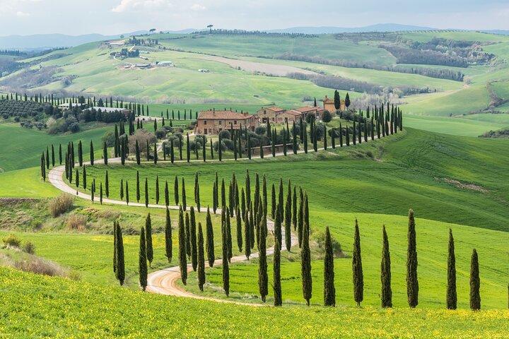 Livorno Shore Excursion Pisa Florence Private van op til 8 af jer