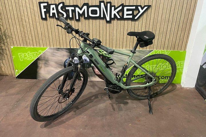 ベナルマーデナEバイクレンタル