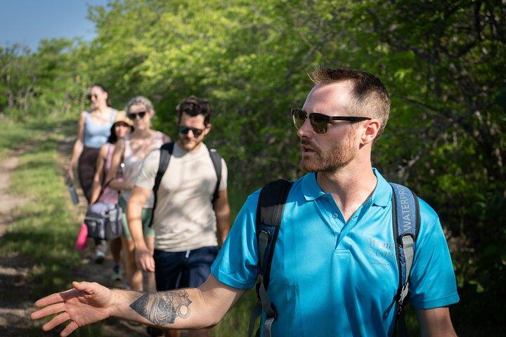 Mangrove og kystnære dyreliv oplevelse med en Cayman Naturalist