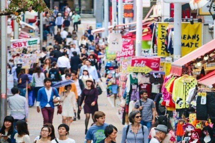 ホテル送迎付きオールインクルーシブ東京プライベートガイドツアー