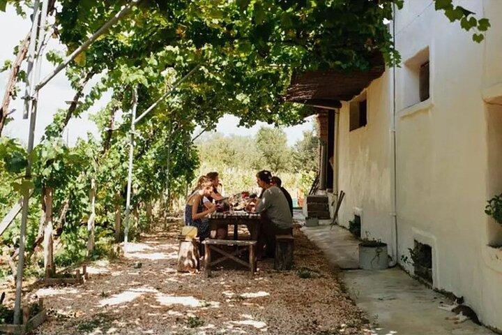 Vineyard Sips: Excursão de vinícola familiar e degustação gourmet em Corfu