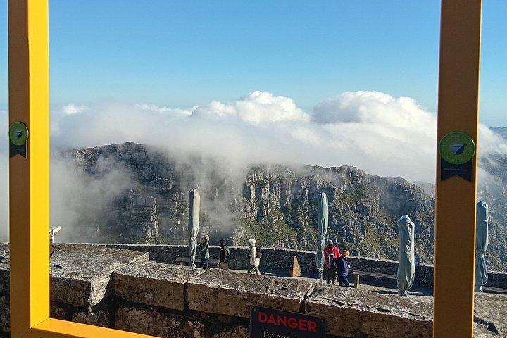 Table Mountain, Penguin Beach And Lunch + Constantia Wine Testing