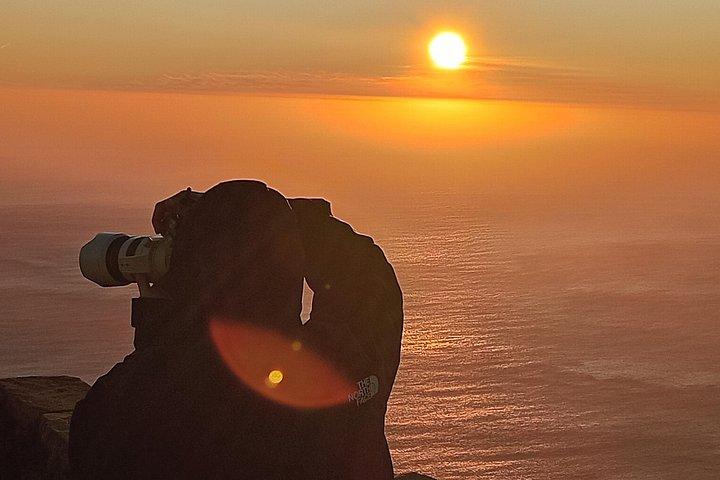 Table Mountain, Penguin Beach And Lunch + Constantia Wine Testing