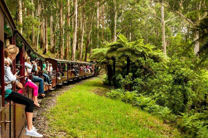 Privat Puffing Billy Ångtåg och Healesville Sanctuary Tours