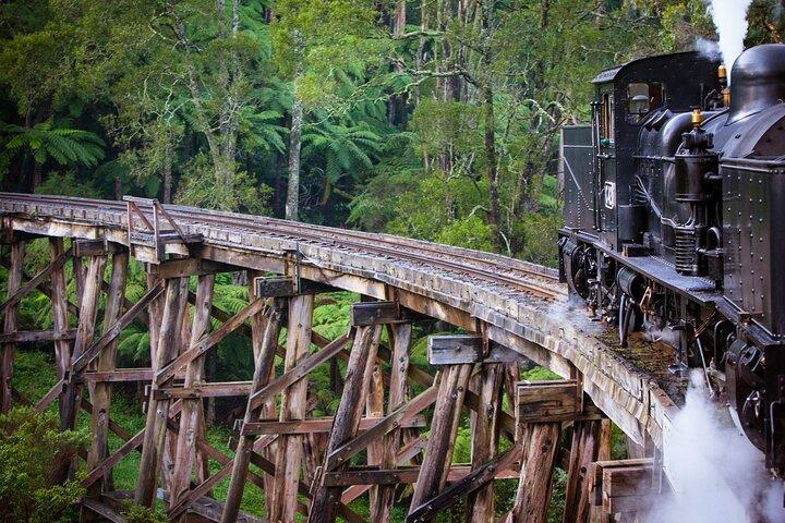 Privat Puffing Billy Ångtåg och Healesville Sanctuary Tours