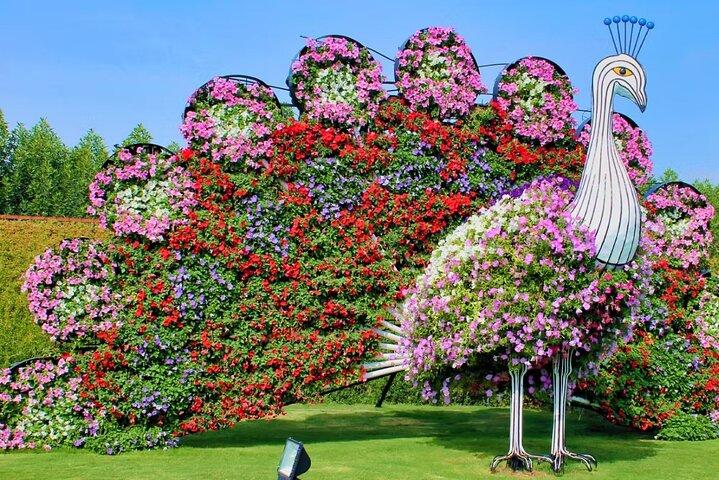 ドバイミラクルガーデンチケット付きドバイシティツアー