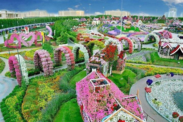 ドバイミラクルガーデン&バタフライガーデンコンボツアー