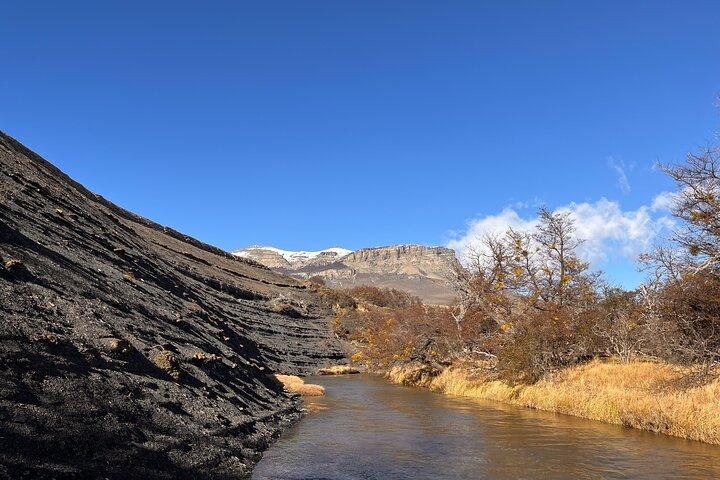 Se fugle og fauna i den chilenske Patagonia Private Tour