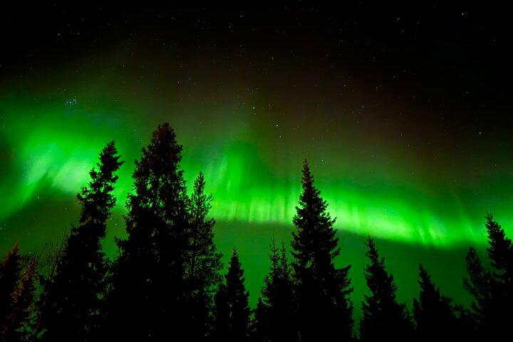 Aurora boreal Caza de Rovaniemi