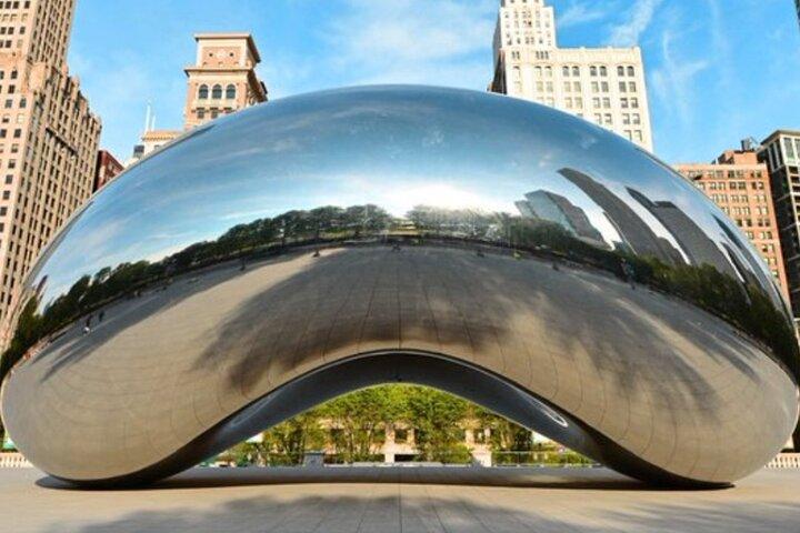 Downtown Chicago Loop Walking Tour (Privat)