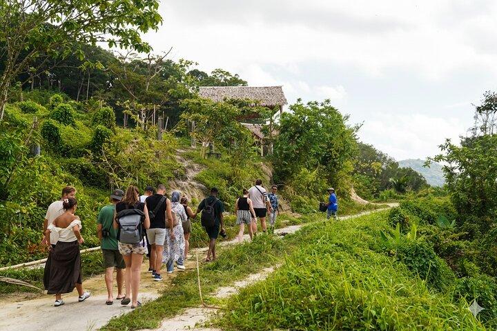 Phuket Ethical Elephant Sanctuary Visite guidée et transferts à l'hôtel