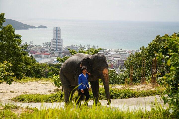 Phuket Ethical Elephant Sanctuary Visite guidée et transferts à l'hôtel