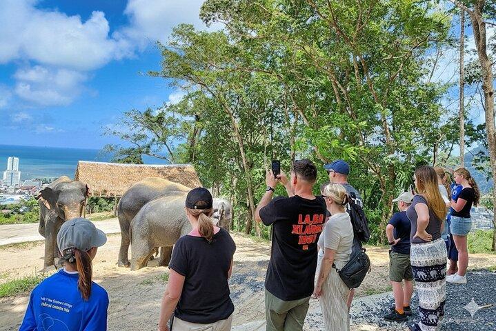 Phuket Ethical Elephant Sanctuary Visite guidée et transferts à l'hôtel