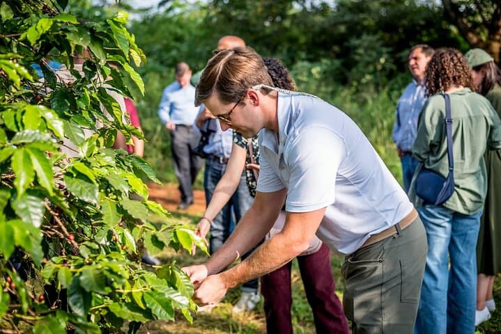 Coffee Farm Tour (Fairview)