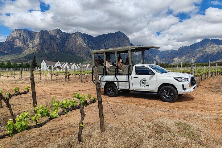 Tour de Safari de Vinhos de Stellenbosch