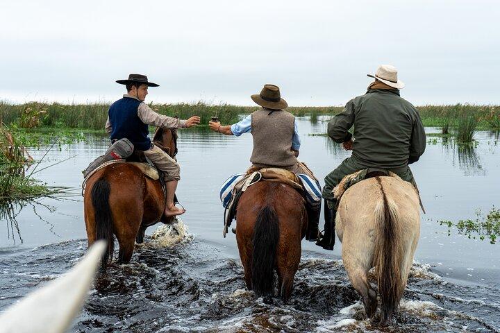 Iberá Wetlands on Horseback: An Unforgettable Gaucho Experience