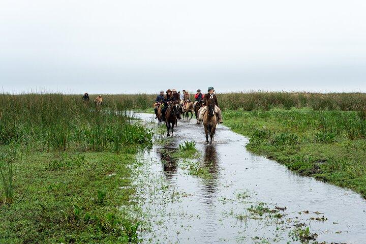 Iberá Wetlands on Horseback: An Unforgettable Gaucho Experience