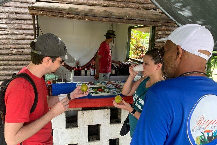 Tour guiado en privado por las cuevas y el zoológico de Belice desde Placencia