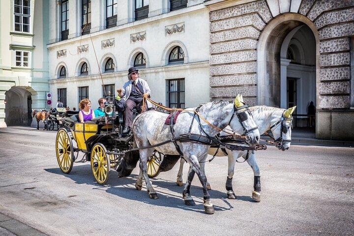 Visita a pé privada de Vienna Architectural & Imperial Highlights